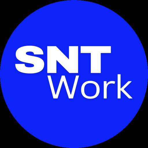 SNT WORK DIGITAL SOLUCTIONS Profile Picture
